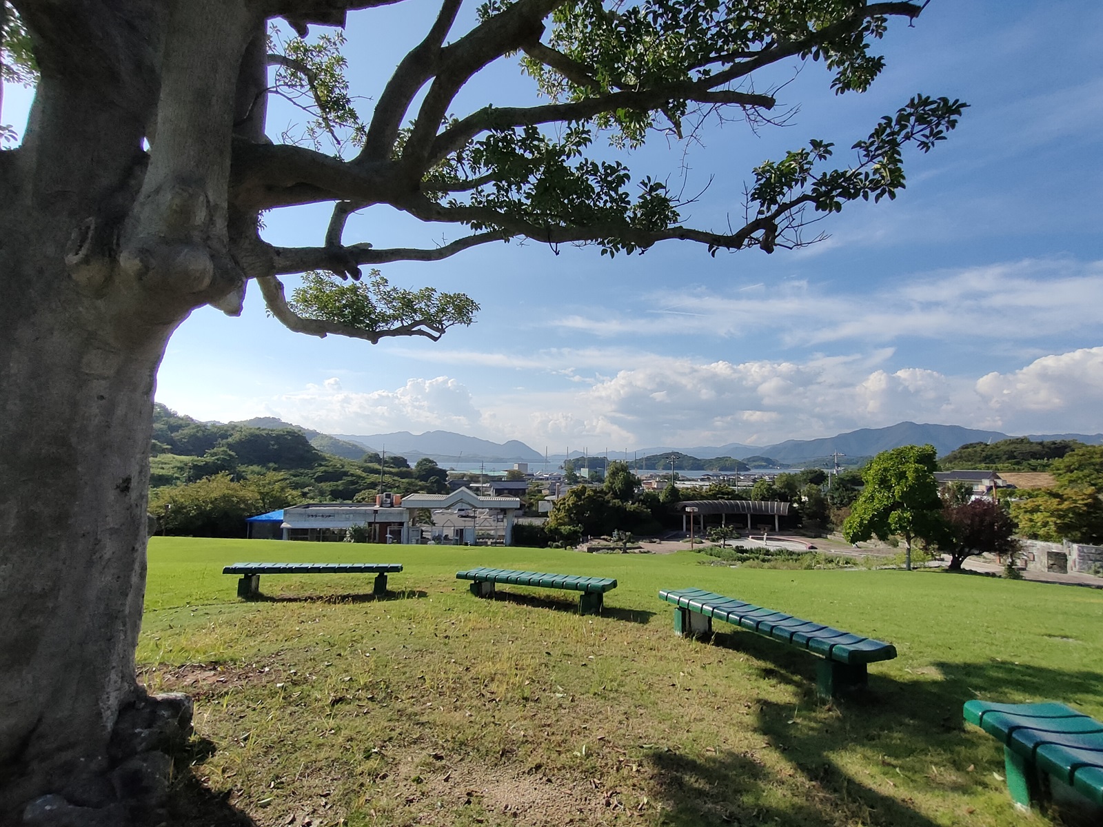 フラワーセンターより眺める