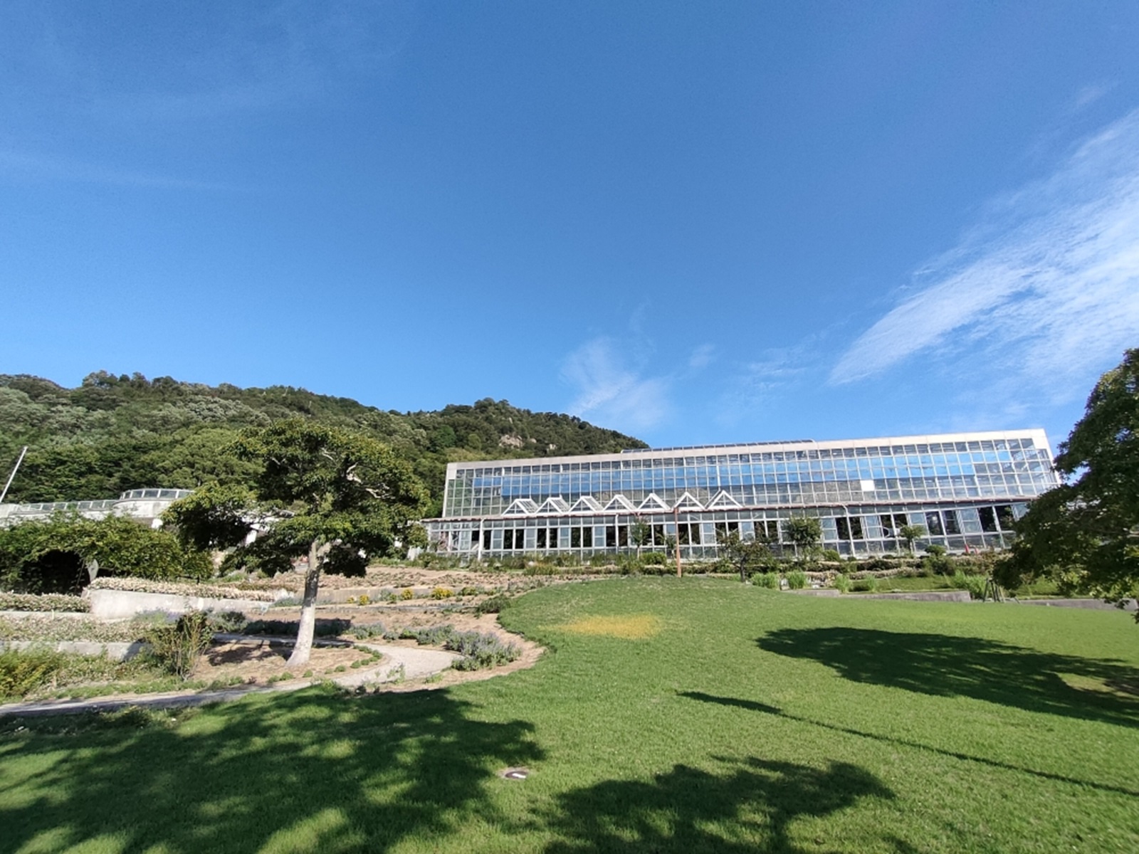 フラワーセンター外観